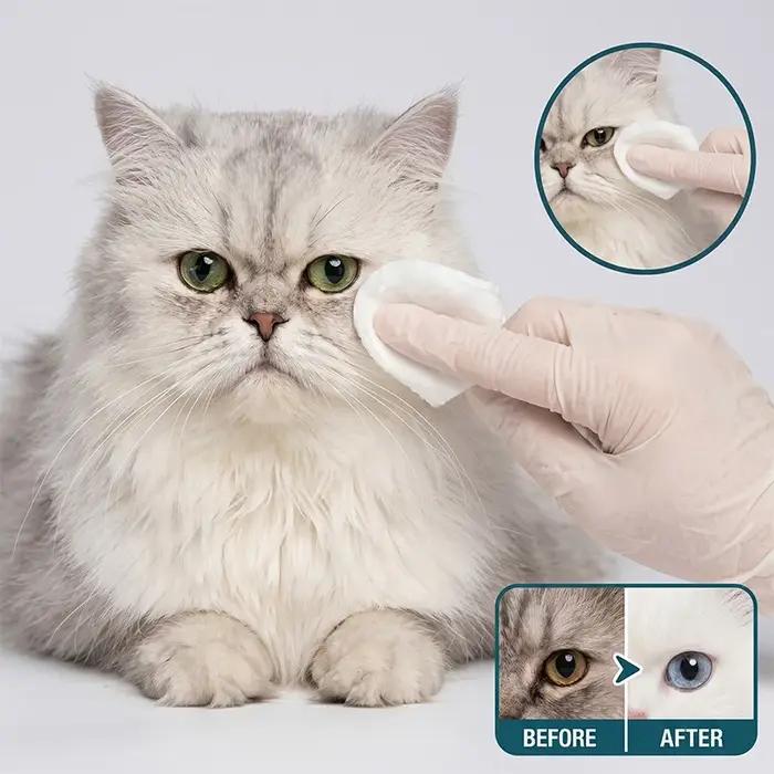 100 lingettes nettoyantes pour les yeux des chiens et des chats