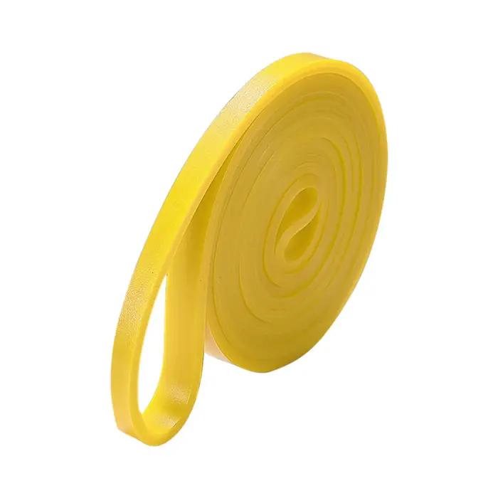 Bandes de Résistance Élastiques pour Exercices, Boucles en Caoutchouc pour Entraînement de Force, Éq