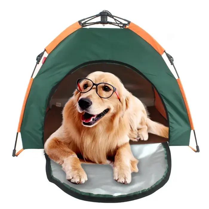 Maison pour chien, tente
