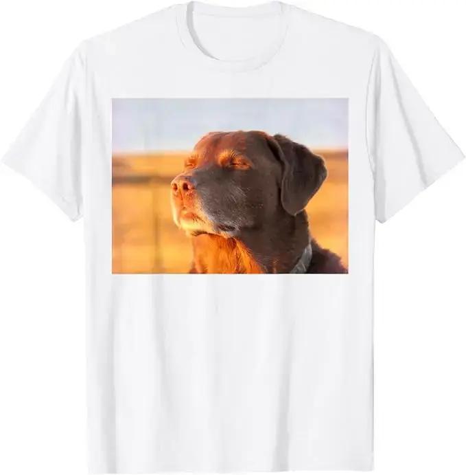 T-shirt amusant avec un motif de chien, un labrador retriever et un slogan humoristique, style Y2K, idéal pour les amoureux des chiens, vêtement graphique à manches courtes, t-shirt en coton doux, t-s