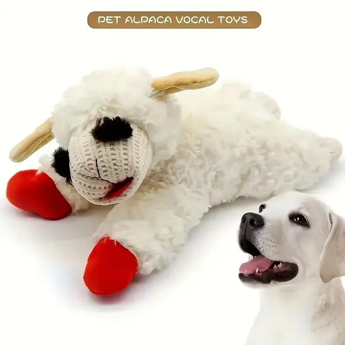 Jouets en peluche pour chien avec couineur