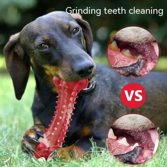 Jouets pour chiens, affûtage des dents