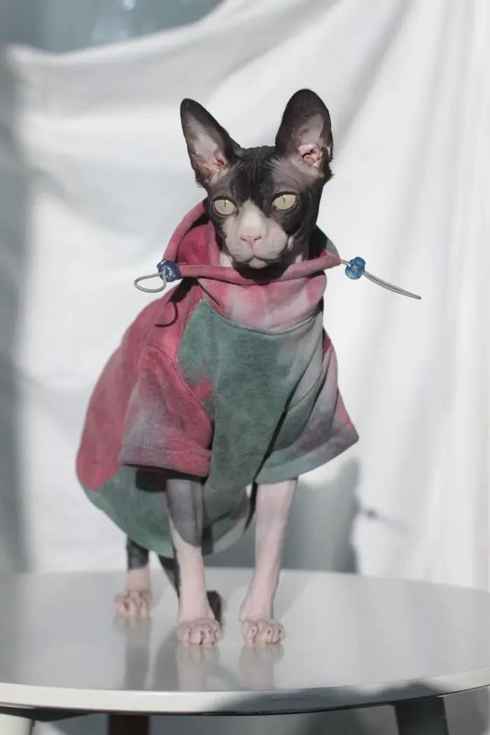 DUOMASUMI Sphynx vêtements pour chat sans poils Devon Rex vêtements automne hiver doublé polaire cha