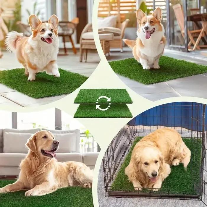 Tapis d'entraînement lavable et réutilisable pour chien