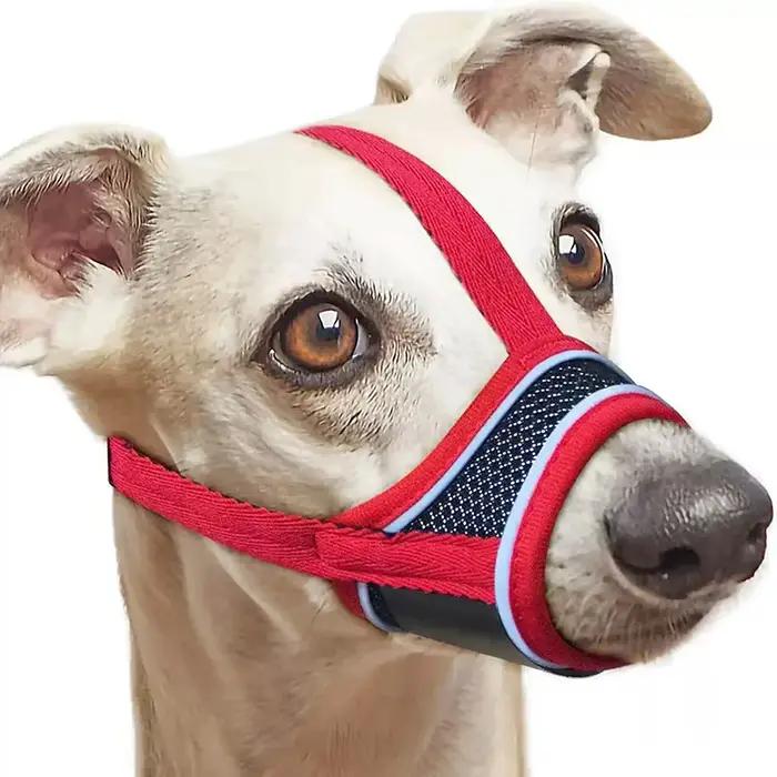 Muselière pour chien, maille respirante et potable