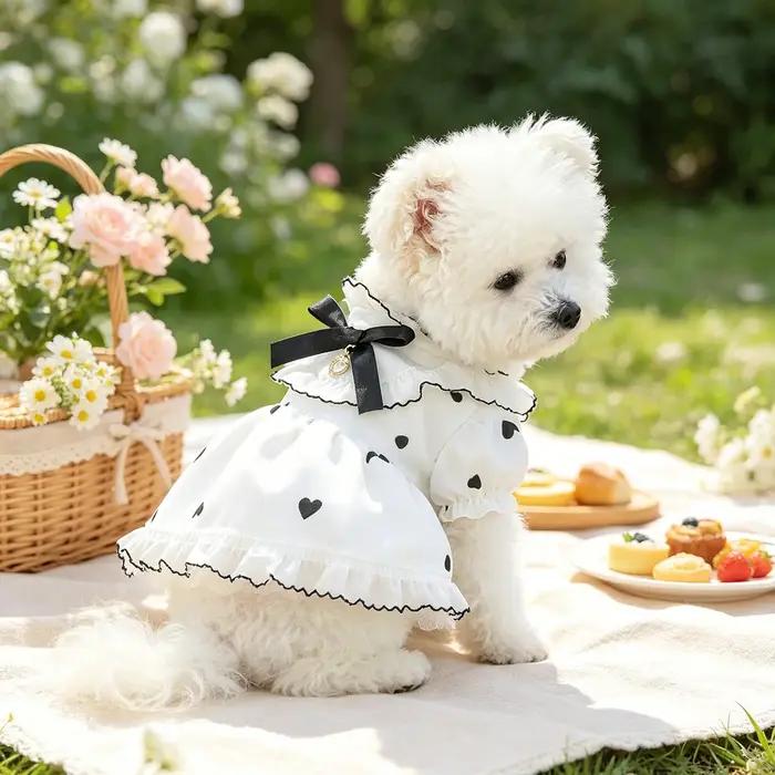 Robe pour animaux de compagnie à imprimé cœur noir