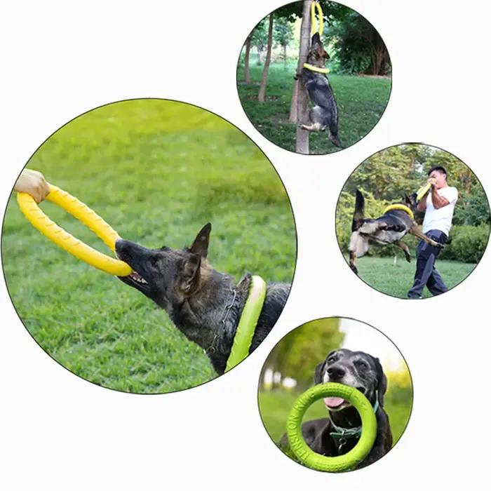 Jouets pour chiens : Anneaux en caoutchouc pour mâcher