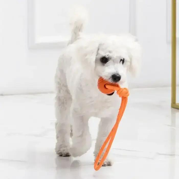 Ballon d'entraînement pour chien sur corde