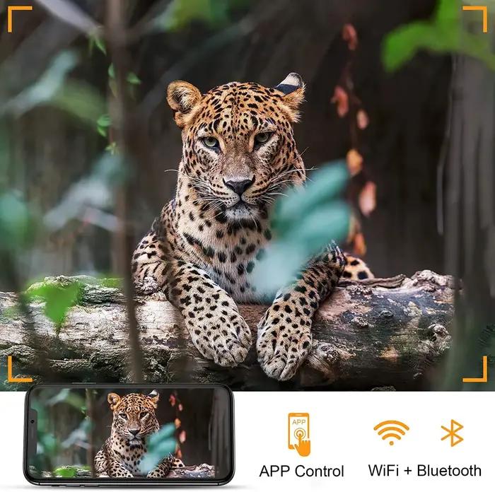 Caméra de chasse 4K pour diffusion en direct