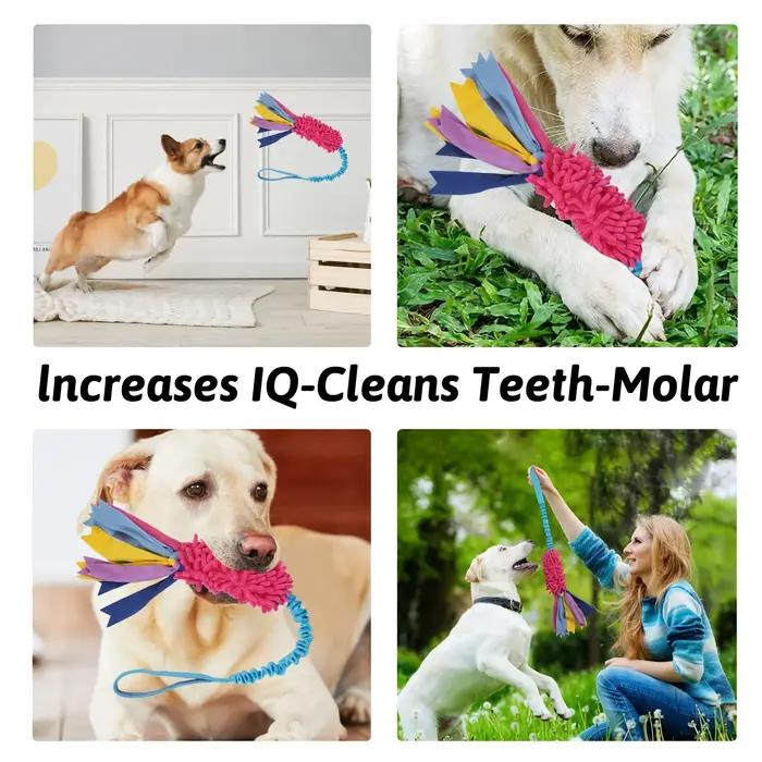Jouet d'entraînement pour chien corde de traction anti-déchirure peluche résistante aux morsures puzzle interactif pour chiens occasions spéciales activités physiques et mentales