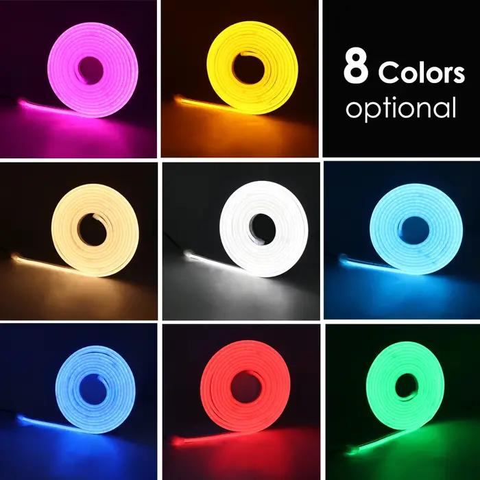Bande lumineuse LED néon USB, 5V, 120 diodes/m, SMD 2835, étanche, Flexible, avec boîtier de batteri