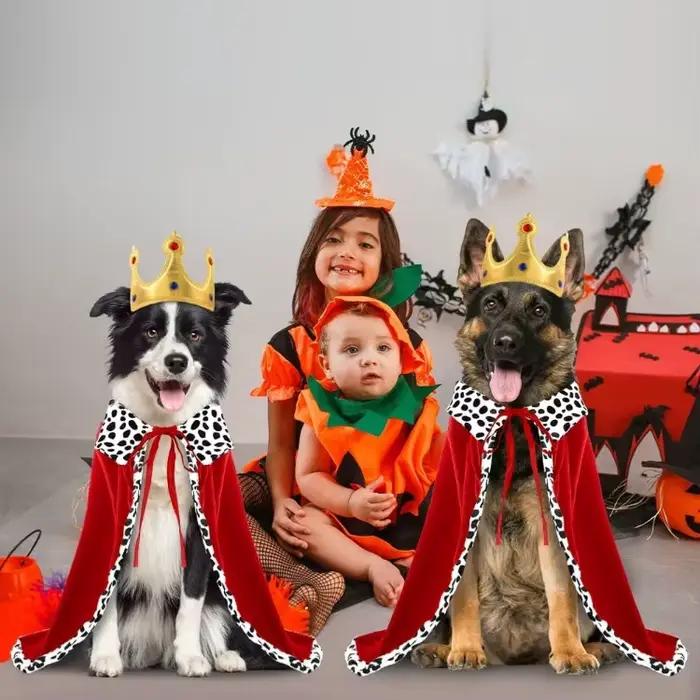 Cape de roi pour chiens et chats avec couronne réglable pour Halloween et autres occasions festives