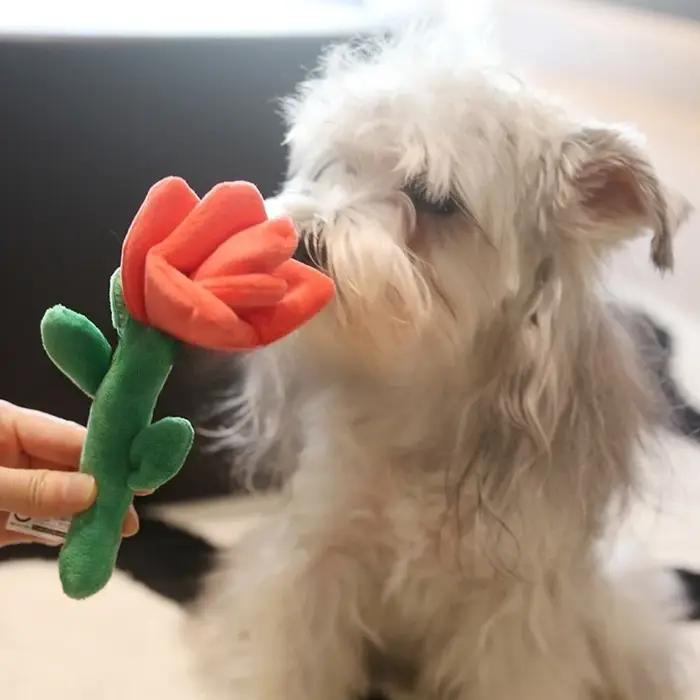 Jouets pour chiens comparés à l'ours