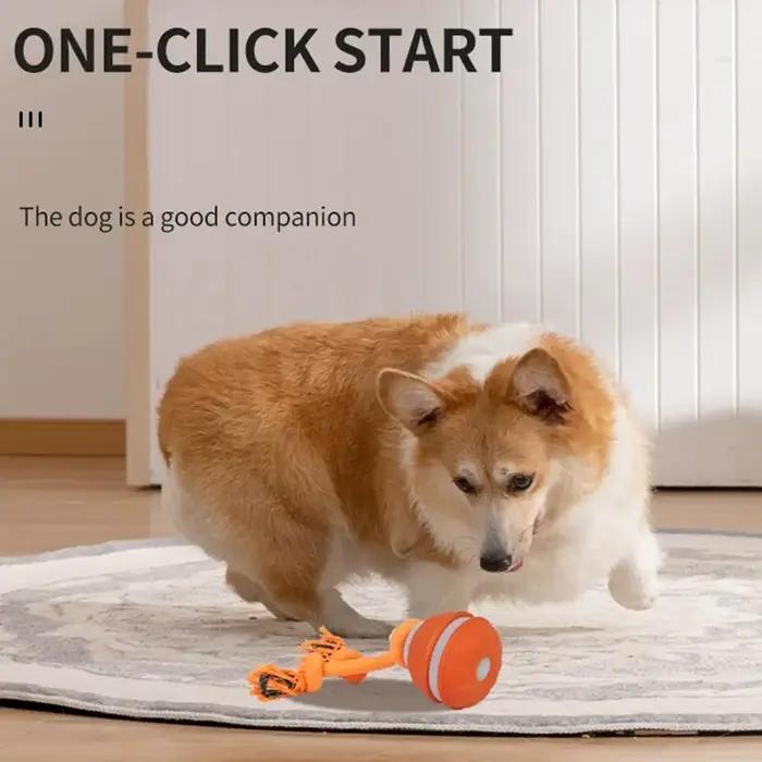 Jouets interactifs pour chiens, balle à activation par mouvement, balle roulante pour chiots/petits chiens, jouet à mouvement automatique, jouet rechargeable par USB