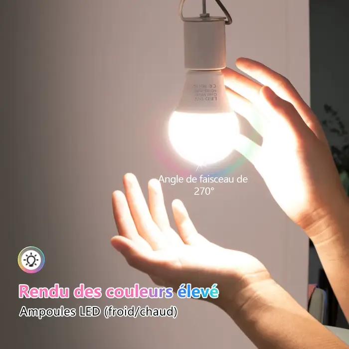 Ampoule LED AC 220V-240V