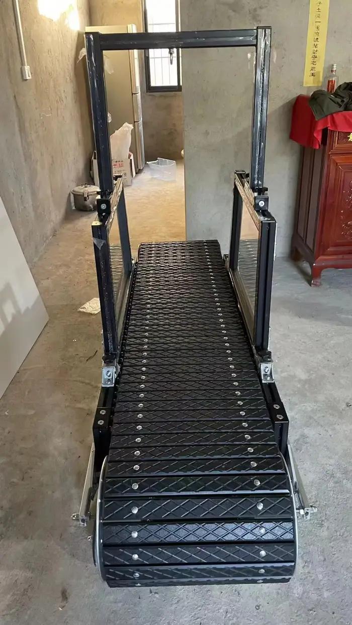 Tapis roulant pour chiens de petite taille en aluminium avec design personnalisable pour entraînement quotidien et cadeau spécial