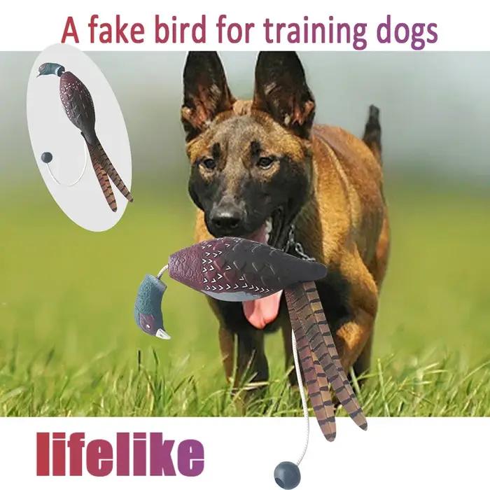 DUNITeaches-Faux Canard d'Entraînement pour Chien de Compagnie