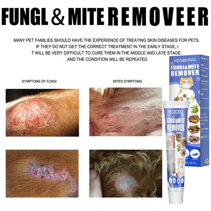 Crème de traitement contre les infections de la teigne non collante pour chiens et chats soulagement rapide anti-démangeaisons infections cutanées