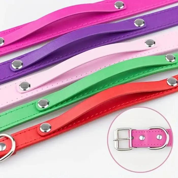 Collier personnalisé pour animaux de compagnie avec étiquette nominative personnalisée