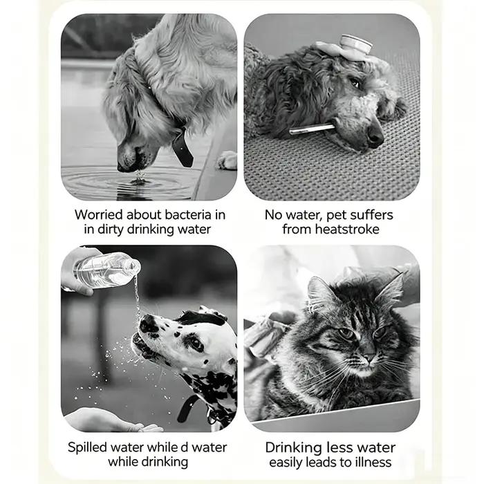 Bol à eau pour chien et chat