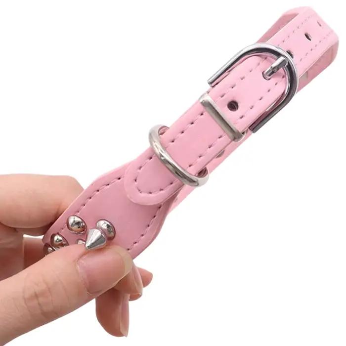 Collier anti-mastication pour animaux de compagnie