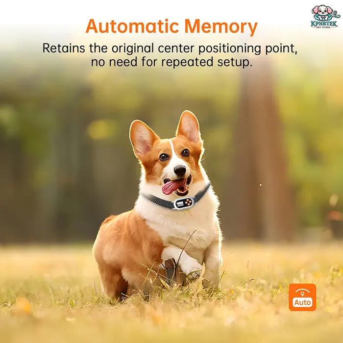Clôture GPS rechargeable pour 1 chien avec collier étanche – Portée de 25 à 999 mètres