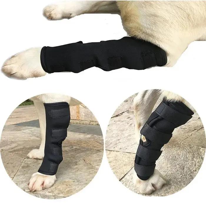 Genouillères de jambes pour chiens