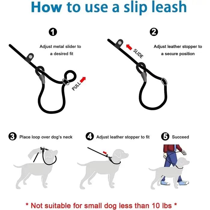 Laisse en nylon robuste et résistante pour chiens de toutes tailles et âges balade canine sécurité confort durable
