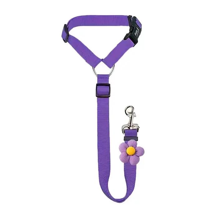 Ceinture de sécurité pour chien pour véhicule