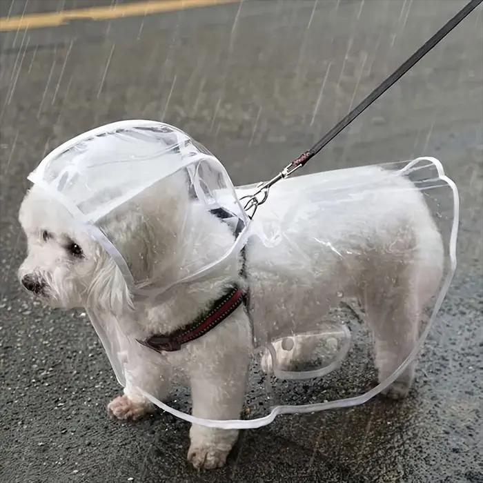 Imperméable transparent imperméable pour chien, imperméable pour chiens de petite et moyenne taille,