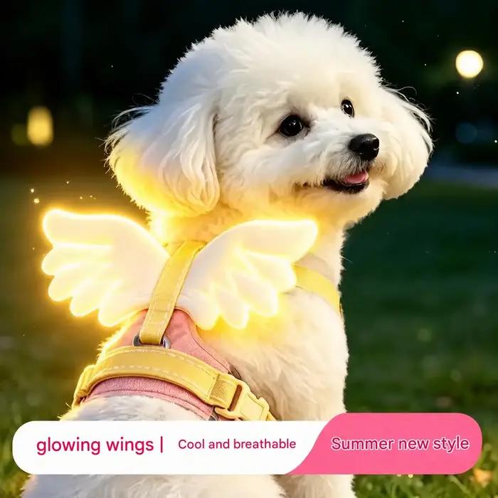 Harnais gilet avec ailes d'ange lumineuses pour chiens de toutes tailles couleurs blanche lavande marine multicolore rose rouge vin rouge pour promenade en plein air