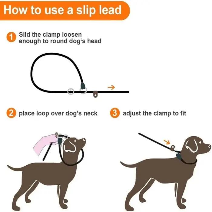 Laisse pour chien, laisse de dressage anti-traction