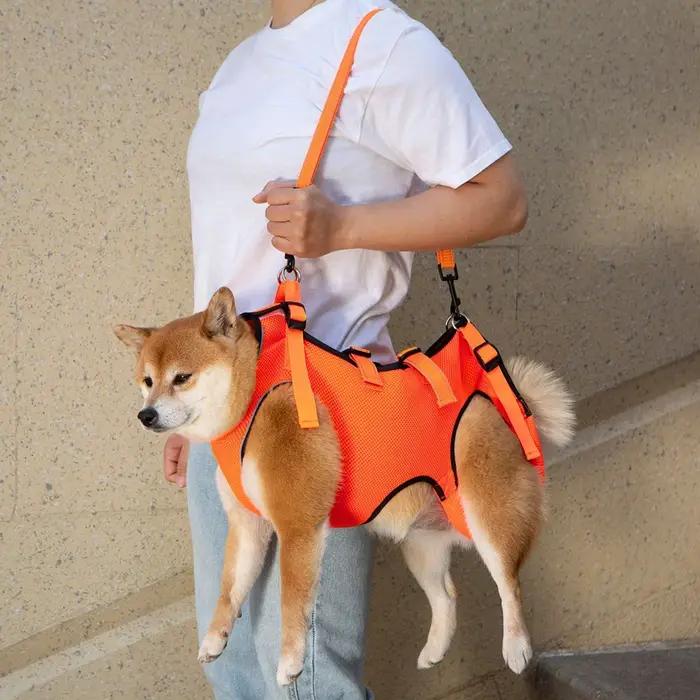 Vêtements auxiliaires pour animaux de compagnie de haute qualité pour chiens handicapés âgés