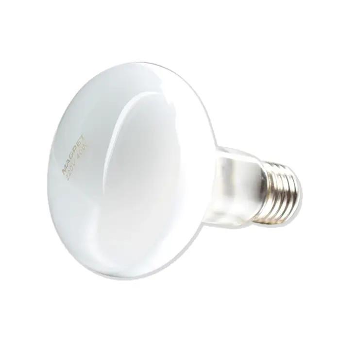 UVA + UVB lampe chauffante pour Reptile 220v ampoule chauffante pour tortue lézard Reptile lampe de