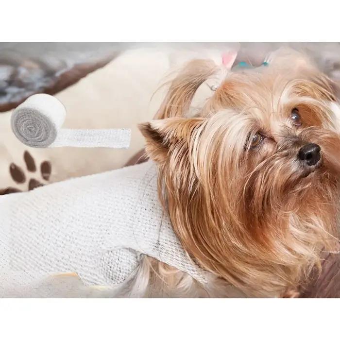 Bandage en maille élastique jetable-enveloppe respirante vétérinaire pour chiens et chats