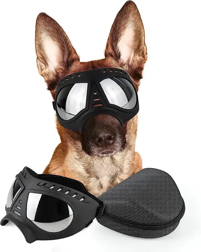 Lunettes de soleil transparentes anti-UV pour chiens de grande race, coupe-vent, anti-poussière, ant