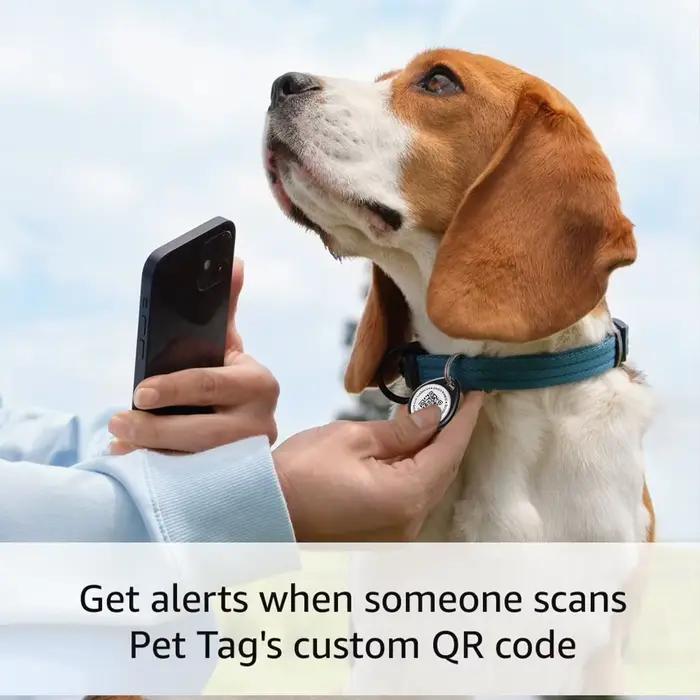 Étiquette d'identification pour animaux de compagnie avec QR code