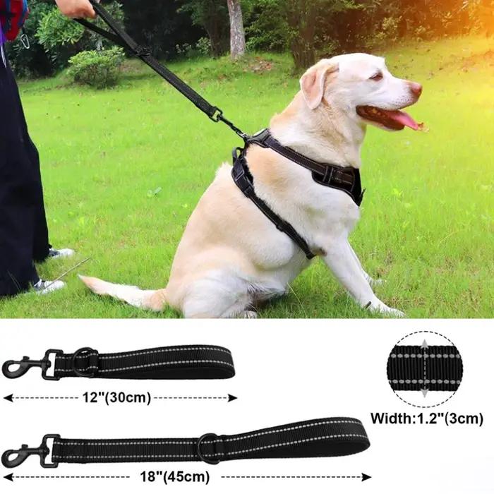 Laisse courte pour chiens 30/45/60cm