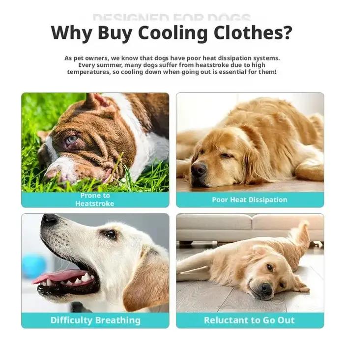 Gilet rafraîchissant pour chien pour l'été, avec protection contre la chaleur et protection solaire respirante, gilet rafraîchissant pour chien pour l'extérieur