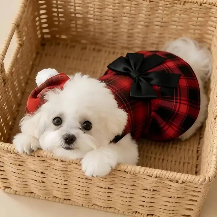 Vêtements pour chiens de compagnie : Costume chemise à carreaux avec cravate
