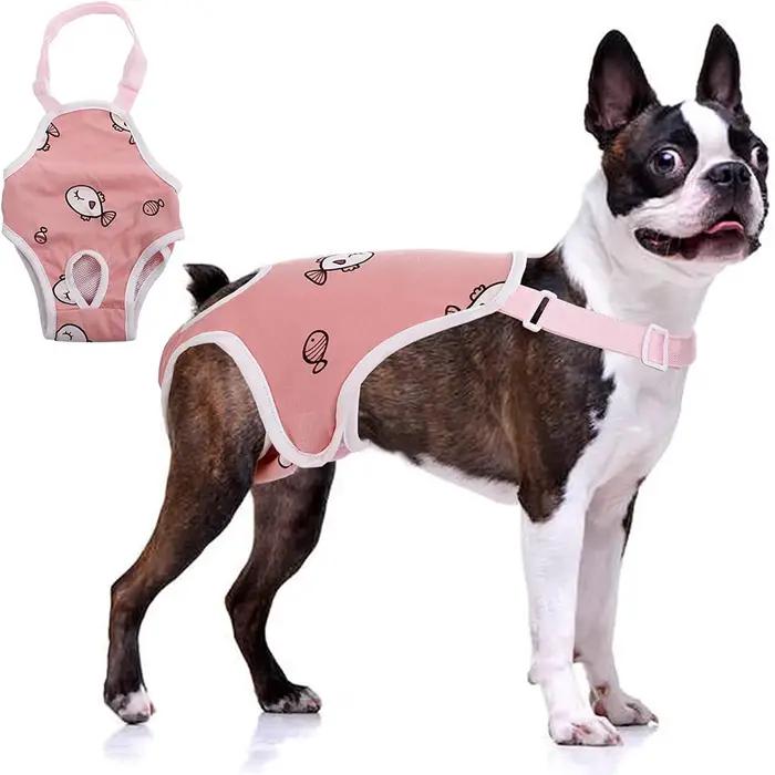 Shorts à bretelles pour chien femelle