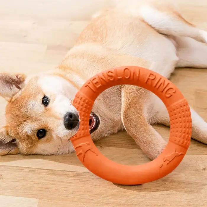 Jouets pour chiens : Anneaux en caoutchouc pour mâcher