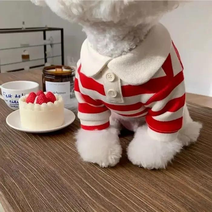 Polo d'été pour chiens, vêtements pour chiots, Bichon Frise, Chihuahua, sweat-shirt à rayures pour chiens, gilet rafraîchissant pour petits et moyens chiens