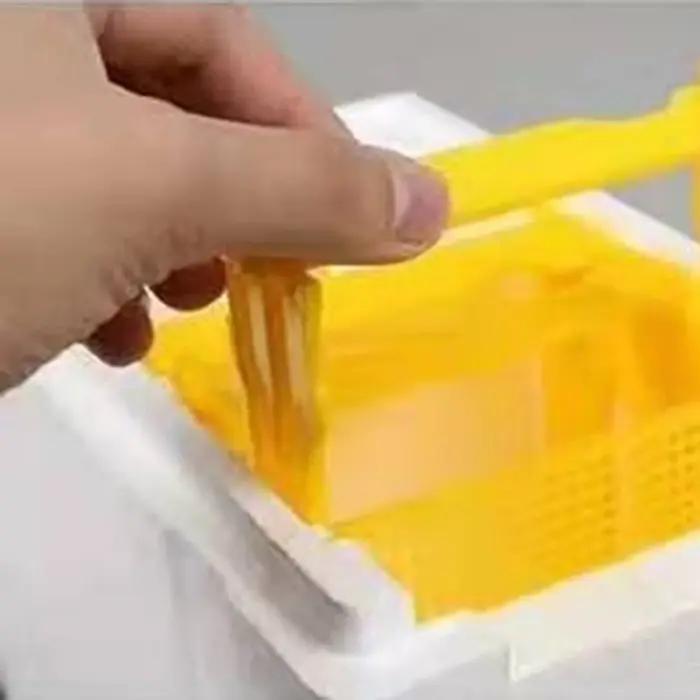 Boîte d'élevage d'abeilles reine, boîte d'accouplement d'élevage d'abeilles, boîte de polinination de ruche en mousse, outils pour l'apiculture, étui d'élevage, équipement pour l'apiculture