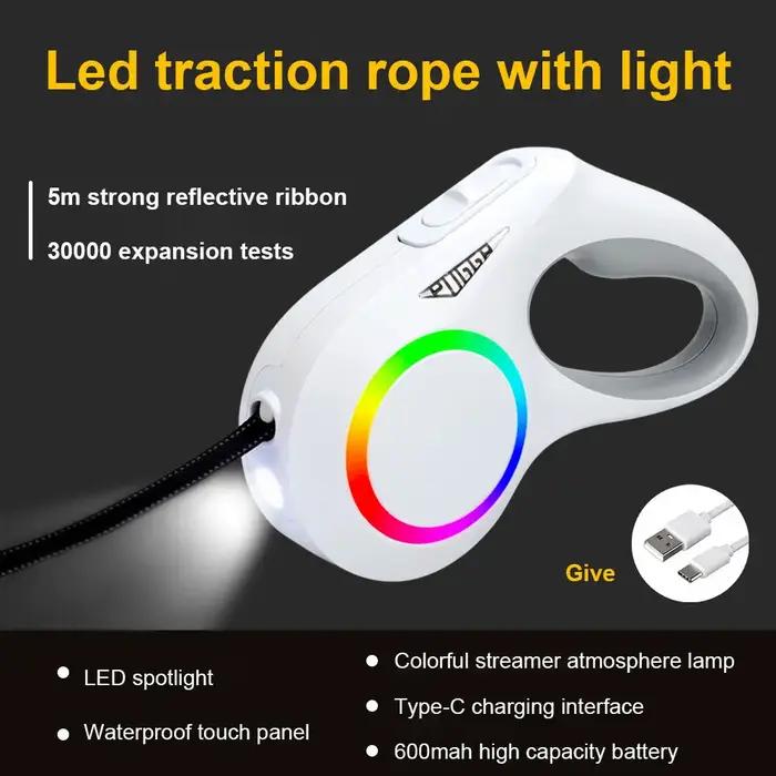 Lampe LED Laisse pour chien Auto Scaling Dog Walking Pet Accessories USB Charge Night