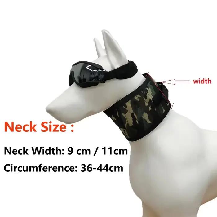 Protège-cou en forme de sanglier pour chien de chasse