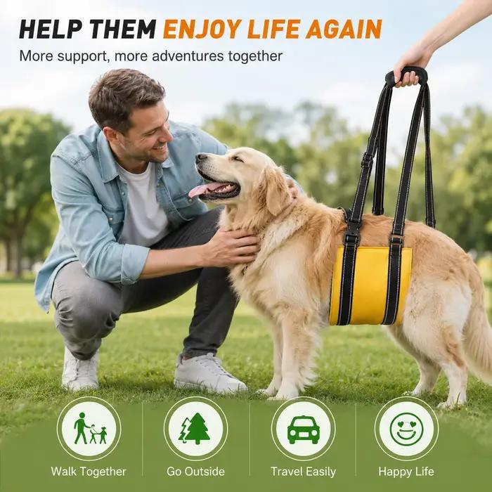 Harnais de levage réglable pour chiens support de pattes arrière aide à la mobilité pour chiens âgés assistance confortable pour chiens avec problèmes de pattes arrière