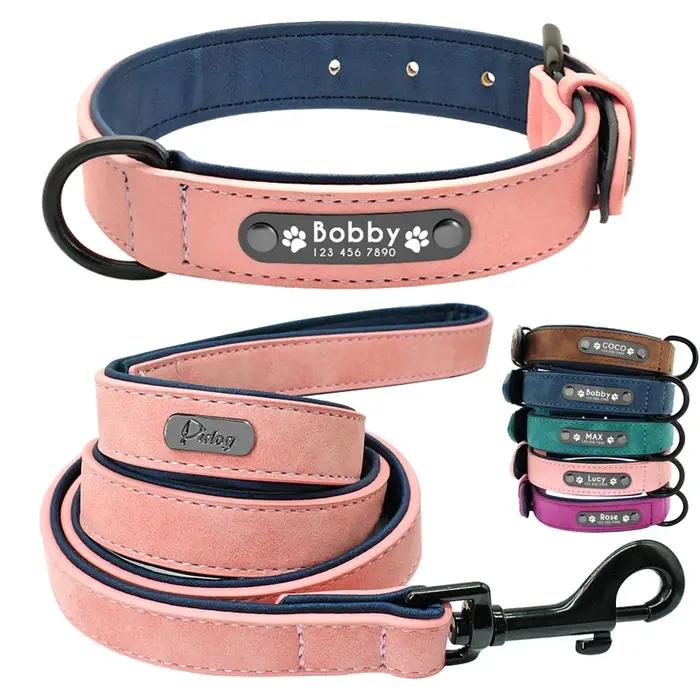 Laisse de collier de chien en cuir