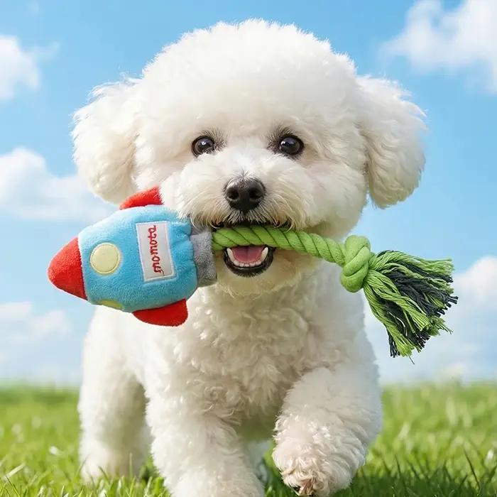 Jouet en peluche pour chien en forme de fusée