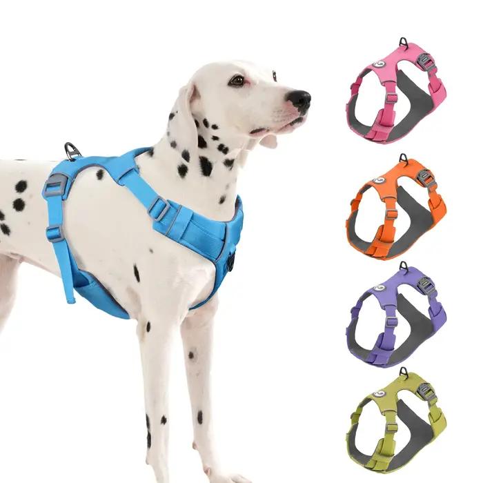 Harnais de sécurité sans traction pour chien de compagnie